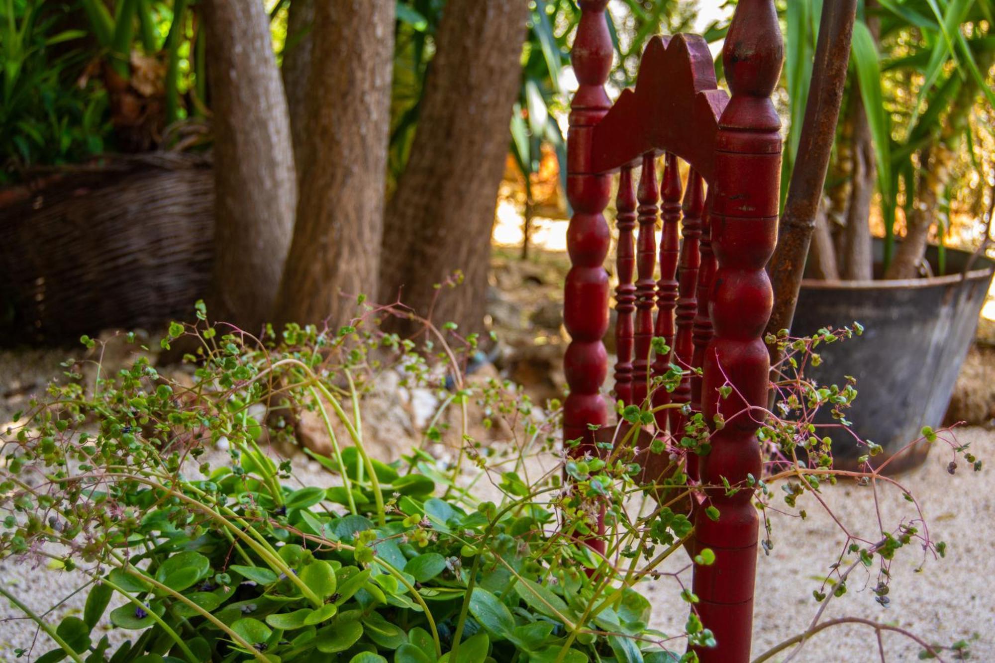 Alojamiento Rural Las Acacias Cabra Kültér fotó